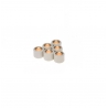 Motorolerio variatoriaus svareliai 16x13mm, 6g.