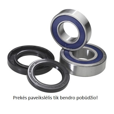 Rato guolių ir riebokšlių komplektas Suzuki