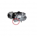 Starteris ATV keturračio mopedo 50 110 125cc