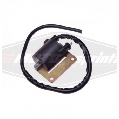 Ritė babina aukųtos įtampos ritė Aprilia  Piaggio Gilera Vespa 50 125 150.