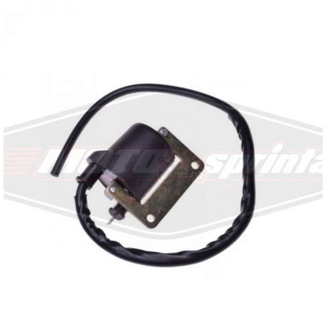 Ritė babina aukųtos įtampos ritė Aprilia  Piaggio Gilera Vespa 50 125 150.