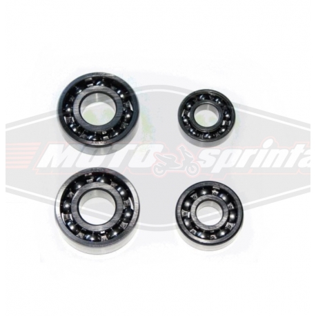 Atv 110 125 variklio guoliai alpha delta wonjan
