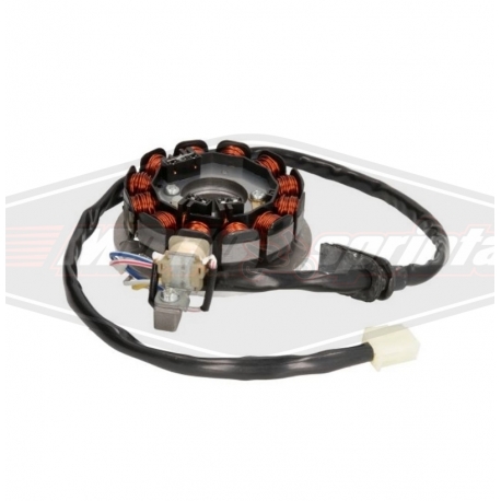 mopedo motorolerio apvijos 12 vijų Minarelli AM6. Yamaha dt tzr peugeot xp