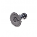 Motorolerio variklio paskirstymo velenėlis GY6 4t 49 50 