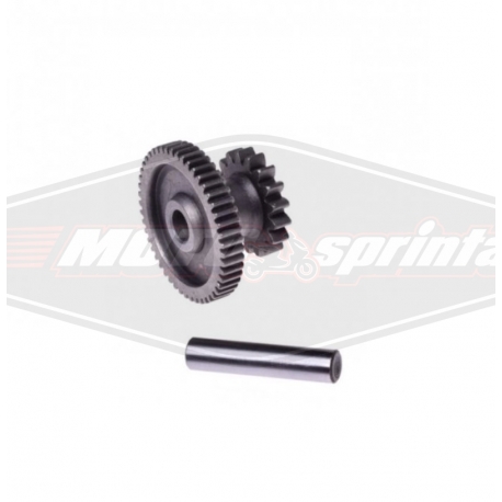 Motorolerio starterio tarpinis krumpliaratis dantratis GY6 125 150cc