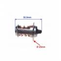 variklio termostatas minarelli am6