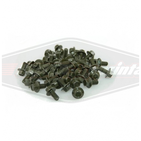 Varžtai M6x12mm. 50vnt. motorolerio motociklo