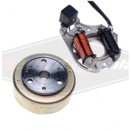 Kinų motociklo atv keturračio apvijos su magnetu 49 50 110 125 Alpha Wonjan