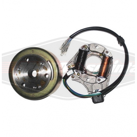 Kinų motociklo atv keturračio apvijos su magnetu 49 50 110 125 Alpha Wonjan