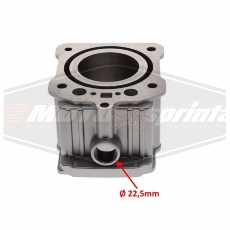 Keturračio motociklo ATV 250 variklio grupė cilindras stūmoklis cg250 fmm167 250cc