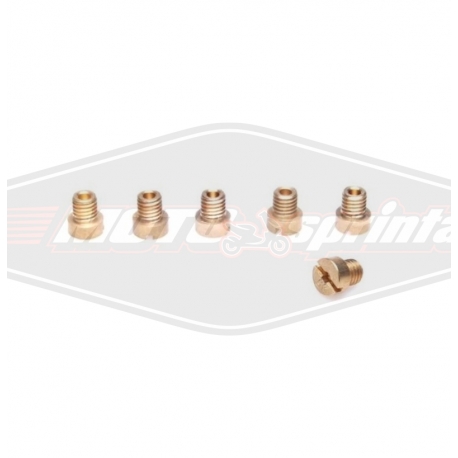 Motorolerio karbiuratoriaus žiklerių komplektas, M5, 6vnt.