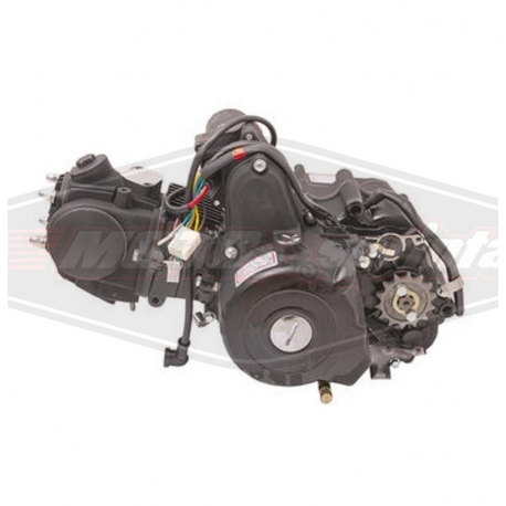 Variklis mopedo, 4T, 70cc, 139FMB, Alpaha, Delta, Wonjan