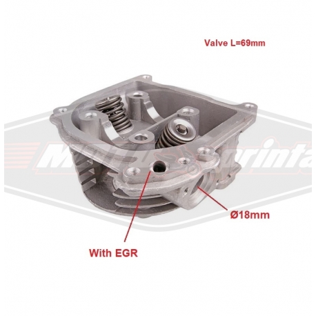 Motorolerio variklio galvutė GY6 49cc, su EGR, kinietiško