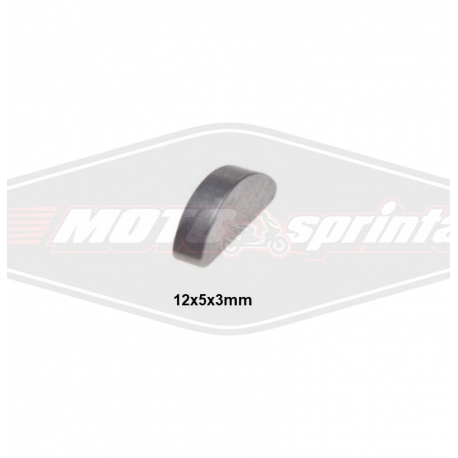 Motorolerio kaištis 12x5x3 šplintas magneto