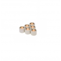 Motorolerio variatoriaus svareliai 16x13mm, 8g. ritinėliai