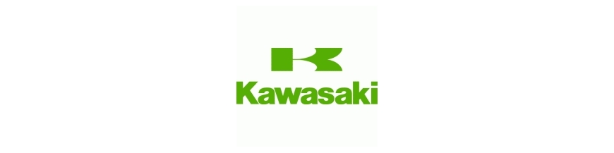Kawasaki